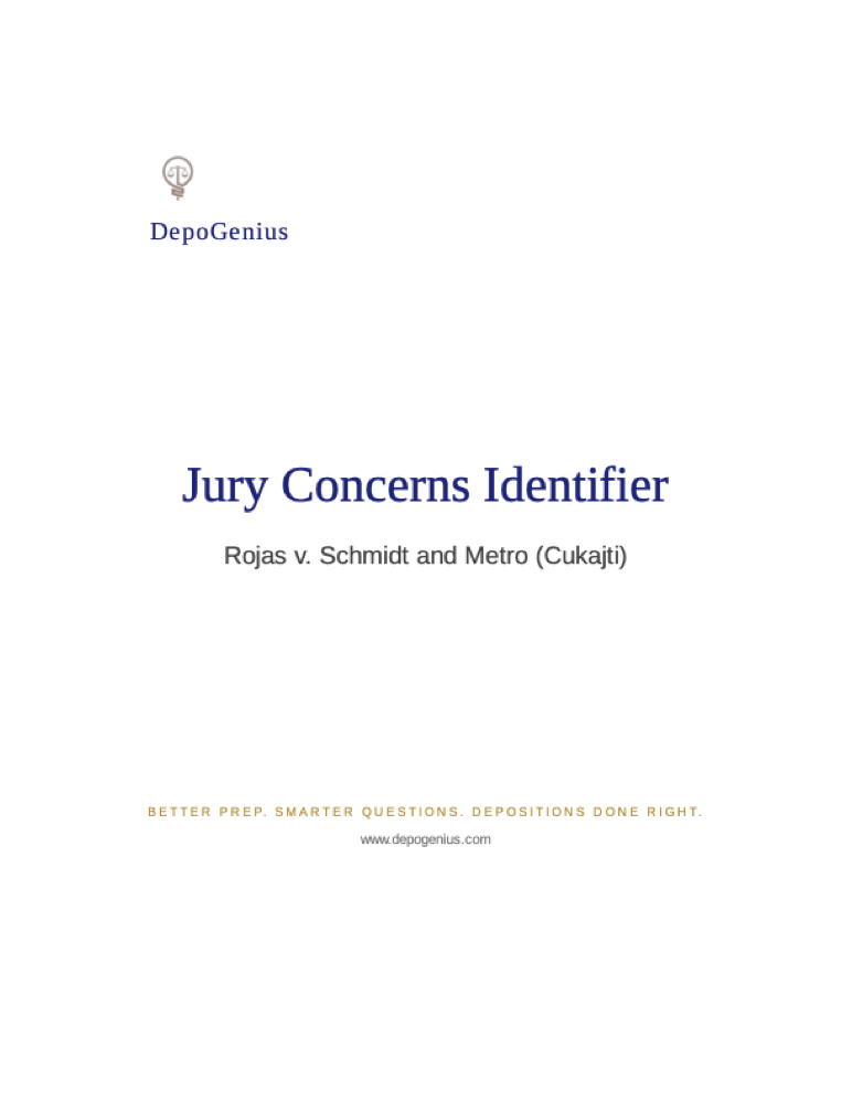 Sample preview: Jury concerns analysis