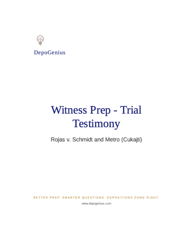 Sample preview: Witness preparation